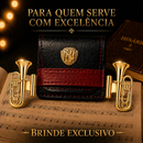 Prendedor Bombardino Premium (Par) – Elegância em Flash de Ouro